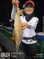 친구야기자호))한치 한치신나는 한치낚시입니다. 목.금.토.일 문어 갑니다. 010-7443-7990 