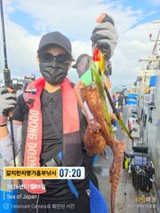 문어 대왕문어 금.토.일 오전 5시 출발 금어기끝 씨알대박 한마리 1키로 넘는넘들 