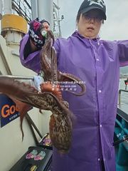 [통영대교피싱]대빵구리 문어들 실시간