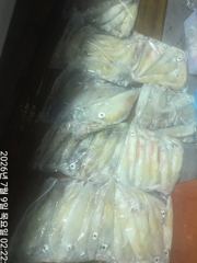 씨알좋은왕한치7분과세자리수~70수손맛짱!!!