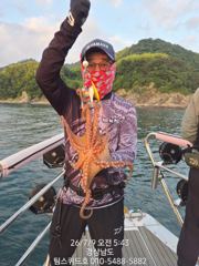 7월9일 돌문어 조황입니다~!~!~!~!~!~!