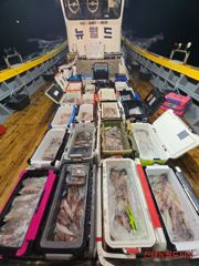 진해뉴월드피싱 ~ 먹물폭탄 맞으러 소수인원이라도 무조건 출항합니다..예약가능합니다
