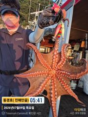 동경호~ 돌문어금어기해제일 실시간( 오늘오후4시예약가능)