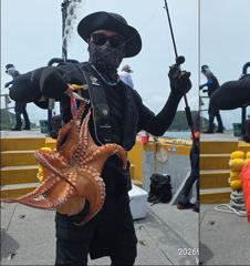 [뉴~한사리2호]9일철수 문어 대박입니다