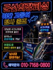 11잁 12일 토/일 야간 고등어 탐사 낚시 ( 예약가능)