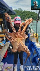 7월10일 여수 문어소식입니다