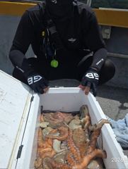 [뉴~한사리2호]10일철수 문어조황입니다