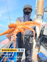 대빵 키로급 돌문어 정말 씨알급만
