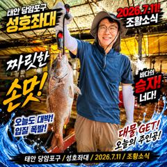 7.11 성호좌대 조황소식