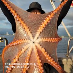 속초보스호 7/11 (토) 대(왕)문어조황 ...두자릿수 넉넉하게...