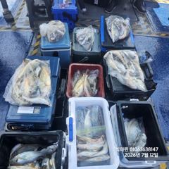 무창포 백조기 No.1 ' 프로낚시 ' 7.12( 일 )<<<<< 빅 마 린 >>>>> 백조기 조황보고...