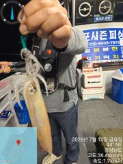 먼바다한치 수욜부터 출조함니다