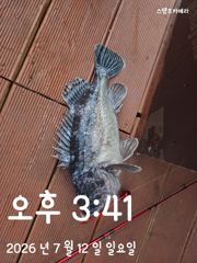 참출