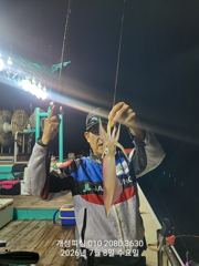 대포급 왕 한치 먹물 폭탄 세자리수 한치 쿨러조황 목요일부터 출항 자리여유많음