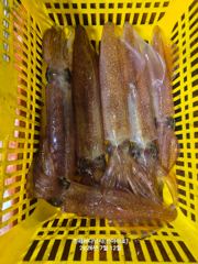 신아라호 먹물한치 