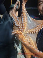 7월. 전체. 조황입니다