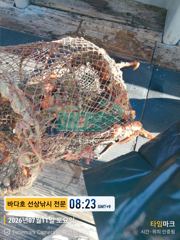 문어출조 조황사진 입니다