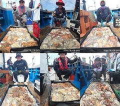 <여수뉴피닉스호> 문어전투  <<  다음주 황금물때 놓치지 마세요 >> 21일(화)부터 수,목,금, 자리많아요~
