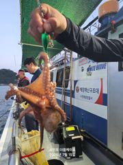 삼천포 문어낚시! 주간반, 야간반 매일출조!