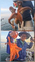 전투낚시 실시간!!