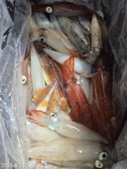 대포알 왕한치 밤새. 입질. ᆢ 오늘 내일. 쭉~ 예약가능 