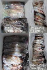 17일)한치~한치!! 물폭탄.좋아요!!(한치일요일~예약가능/준내만갈치 예약받습니다)