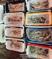 한치,먹물폭탄 손맛 보러 오세요,내일자리여유(토~예약가능)  