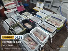 우당탕탕[한치~한치]달려봅니다[토.일]예약가능