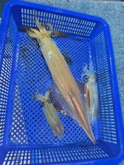 7월17일헤븐호한치반타임다녀왓네요