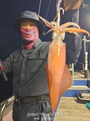 17일이항 한치 조황입니다^^ 일요일 5자리여유