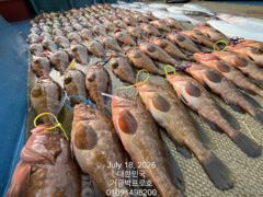 고흥.거금박프로호 붉바리외수질 전문선사조황 