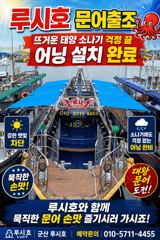 [루시호] 군산권 문어 소식