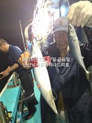 야간 왕고등어~오늘도 갑니다~고등어,삼치,등~실시간~ "끝내주는 고등어"출조~~금요일부터 매일출조~~군산 나드리호
