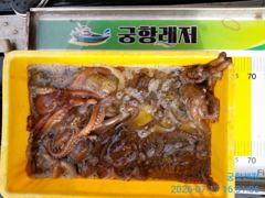 [곤리 풍화] 궁항레저 문어 조황입니다