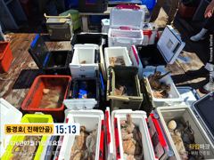 동경호~7월11일 돌문어조황