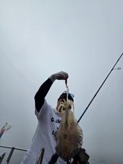 19일 제주엔에스호 팁런 조황입니다