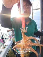 7월19일-문어 문어 실시간 조황입니디