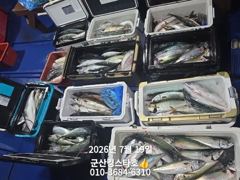 군산킹스타호(7/18~)야간고등어 마무리조황(계속해서 출조~)