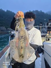 7/19 산란?무늬 오징어 조황