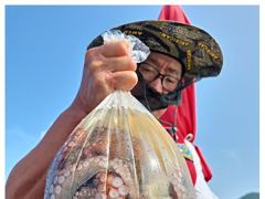 19일(일)역시나~오네요.왔습니다!!돌문어씨알역대급!!마리수도 따븡!!27일(웧)부터  자리여유있습니다 