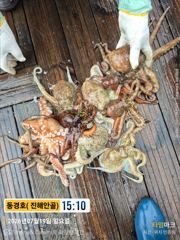 동경호 7월 19일 철수조황