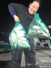 새바다호  야간  전갱이 담그면 퍽퍽 엄청잡고  조기철수 오늘저녁 문어예약가능합니다 