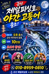 : ⭐군산제일피싱호⭐주말야간고등어10만출조