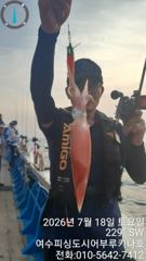 금요일 토요일 한치 자리 여유 있습니다 여수피싱도시어부 16석 루키나호 