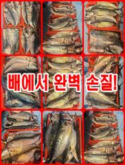 ◆인해호◆5짜 고등어◆부시리는 덤◆야간 고등어·삼치◆