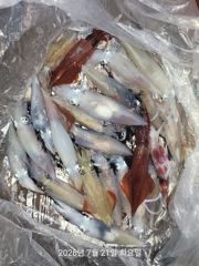  대포급 왕한치 먹물폭탄  쓸리걸이 한치조항 목,금,토,일 예약가능 