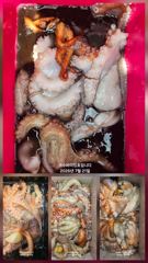 7월21일문어조황