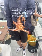일요일 조황~~내일 야간 문어출조