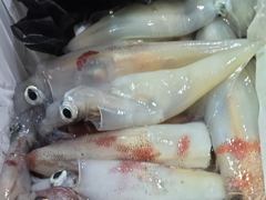 [거제블루]거제권한치 다시 세자리수 터졌습니다  먹물폭탄 밤새 쏟아지고 전체쿨러조황  오늘자리여유~~