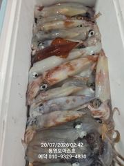 한치 출동